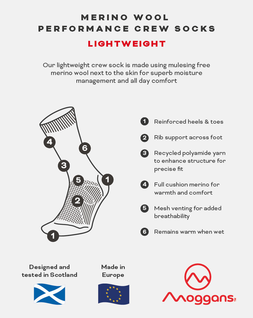 Lightweight Merino Crew Socks